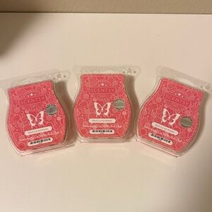 Scentsy 3 Red Currant Bubbly Wax Melt Bars